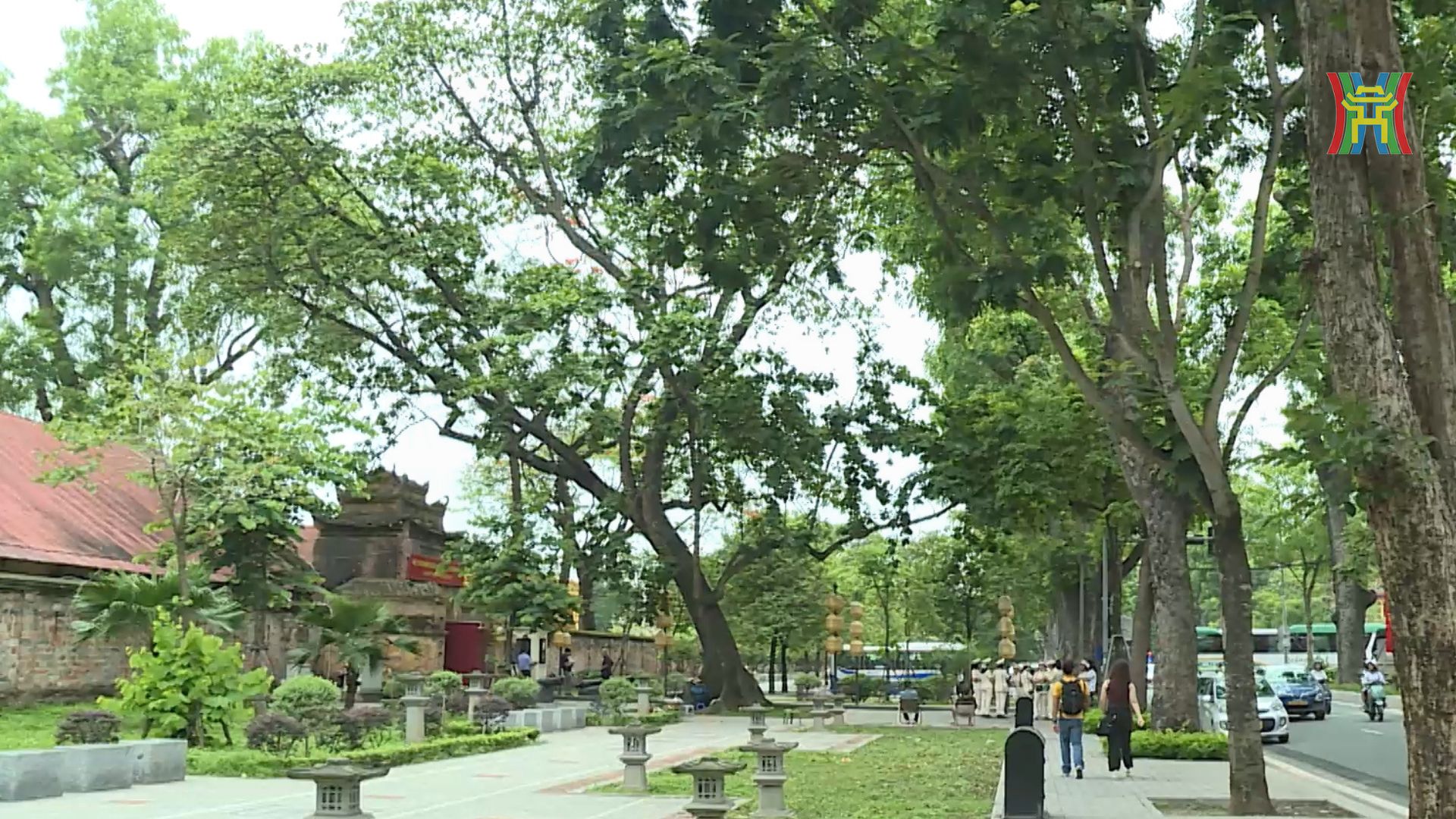 Vẻ đẹp trên đường Hoàng Diệu